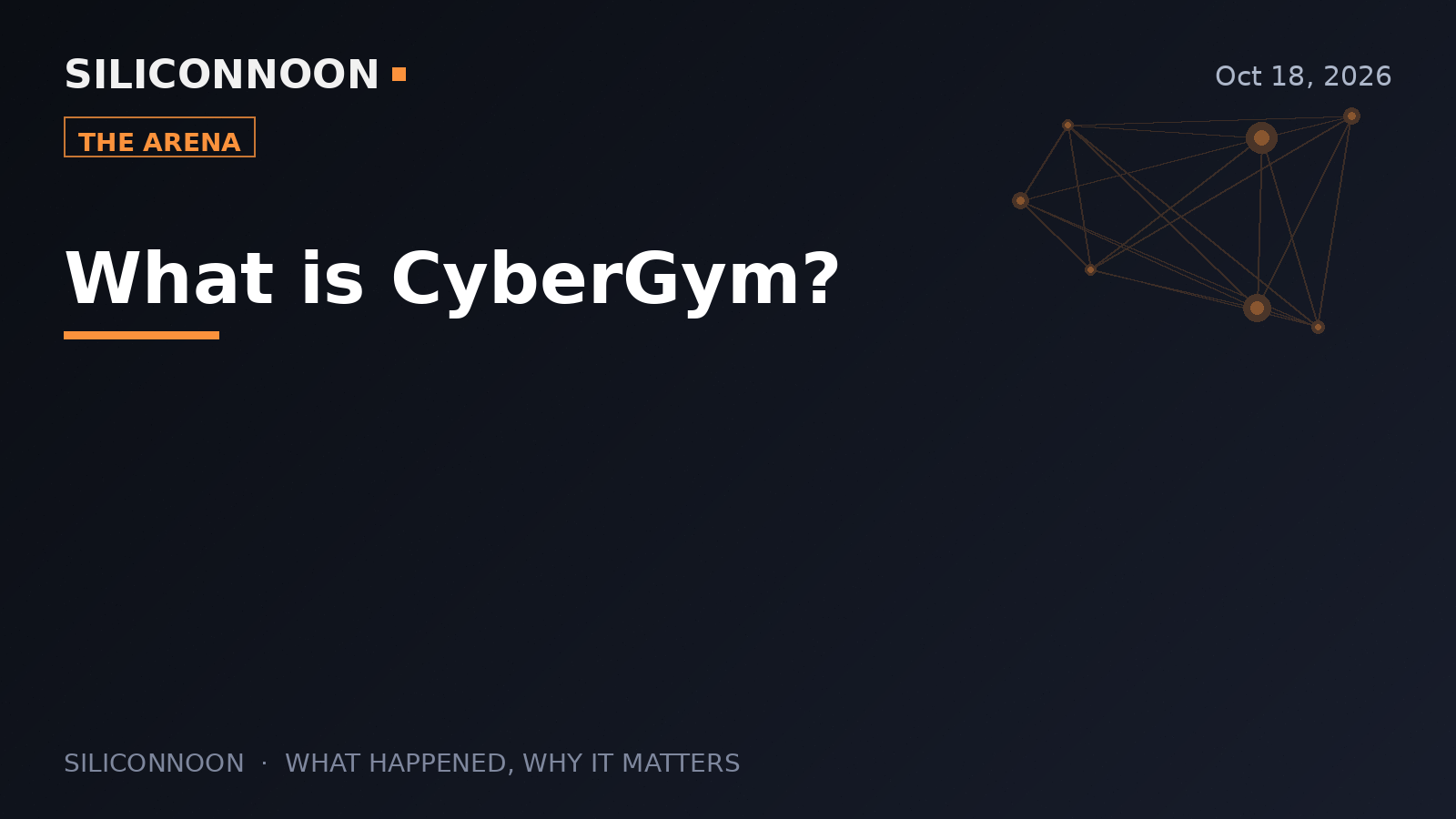What is CyberGym?