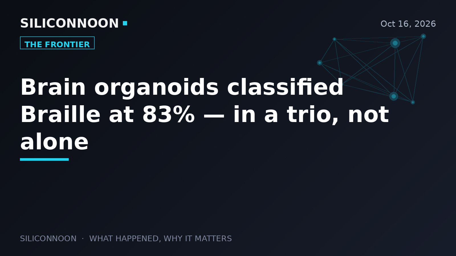 Brain organoids classified Braille at 83% — in a trio, not alone